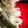 Snow-Covered Christmas Tree With Pine Cones 210 CM ნაძვის ხე დათოვლილი, შერეული სილიკონის ტოტებით და გირჩით, 7 image