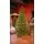 Christmas Tree Grace 100% Silicone Needle PE 250 CM - ნაძვის ხე 100% სილიკონის წიწვებით, 3 image