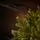 Christmas Tree Edelweiss Luxe With 100% Silicone Needle 260 CM - ნაძვის ხე 100% სილიკონის წიწვებით, 6 image
