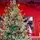 Christmas Tree PE+PVC 240 CM Green - ნაძვის ხე შერეული სილიკონის წიწვებით, 4 image