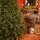 Christmas Tree Grand Wide 100 % Silicone Needle 260 CM - ნაძვის ხე 100% სილიკონი, 11 image
