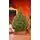 Christmas Tree Lamelia With Mixed Silicone Needle 180 CM - ნაძვის ხე შერეული სილიკონის წიწვებით, 2 image