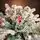 Christmas Tree With Berries PE + PVC 210 CM Snow-Covered - დათოვლილი ნაძვის ხე შერეული სილიკონის წიწვებით და კენკრით, 9 image