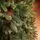 Belgian Christmas Tree Green With 100% Silicone PE 210 CM - ნაძვის ხე 100% სილიკონი, 9 image