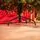 Holandiia Christmas Tree With Olive Tips PE 210 CM საახალწლო ნაძვის ხე, 100% სილიკონი, 16 image