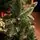 Diamant Green Christmas Tree With Mixed Silicone Needle And Red Viburnum Berries PE+ PVC 220CM - ნაძვის ხე შერეული სილიკონის წიწვებით და კენკრით, 8 image