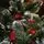 Lidiya Green Christmas Tree With White Tips PVC 250CM - ნაძვის ხე თეთრი ბოლოებით, 9 image