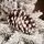 Winter Wonder Snow-Covered Christmas Tree 240 CM With Pine Cones საახალწლო ნაძვის ხე დათოვლილი ტოტებით და გირჩით 240  სმ (OT2084), 9 image