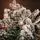 Pure Snow Christmas Tree With Lights 240 CM Snow-Covered ნაძვის ხე დათოვლილი ტოტებით და განათებით, 8 image