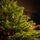 Christmas Tree Grace Slim 100 % Silicone Needle 240 CM - ნაძვის ხე 100% სილიკონი, 4 image