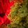 Christmas Tree Green 240 CM PE  საახალწლო ნაძვის ხე, 100% სილიკონი, 5 image