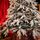Christmas Tree 210 CM With Pine Cones And Lights, PE + PVC Snow-Covered ნაძვის ხე სილიკონის შერეული ტოტებით, გირჩით და განათებით, 6 image