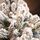 Global Snow-Covered Christmas Tree PVC+PE 180 CM დათოვლილი ნაძვის ხე შერეული სილიკონის წიწვებით, 4 image