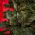 Lidia Green Christmas Tree PVC 200 CM - ნაძვის ხე, 7 image