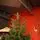 Lamelia Christmas Tree PE+PVC 220CM With Mixed Silicone Needle - ნაძვის ხე შერეული სილიკონის წიწვებით, 3 image
