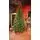 Ukrainian Prime Christmas Tree 100 % Silicone Needle 250 CM - ნაძვის ხე 100% სილიკონი, 2 image