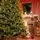 Nordgran Christmas Tree Nordgran With Mixed Silicone Needle 270 CM - ნაძვის ხე შერეული სილიკონის წიწვებით, 5 image