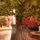 Mistlewood Christmas Tree 180 CM 100% Silicone With Stump - ნაძვის ხე 100 % სილიკონი, 16 image