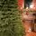 Ukrainian Prime Christmas Tree 100 % Silicone Needle 250 CM - ნაძვის ხე 100% სილიკონი, 7 image