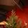 Aurepine Grand Wide Christmas Tree PE 220 CM 100 % Silicone Needle  - ნაძვის ხე 100% სილიკონი, 3 image