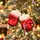Christmas Mittens Hanging Decoration - ნაძვის ხის სათამაშო