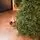 Prime Christmas Tree PE 210 CM 100 % Silicone Needle - ნაძვის ხე 100% სილიკონი, 8 image