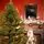 Northern Glow Christmas Tree 150 CM With Mixed Silicone Needle PE+PVC -  ნაძვის ხე შერეული სილიკონის წიწვებით, 6 image