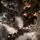 Winterella Snow-Covered Christmas Tree PE 180CM 100% Silicone - დათოვლილი ნაძვის ხე 100% სილიკონი, 15 image