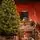 Nordgran Christmas Tree 210 CM Nordgran With Mixed Silicone Needle - ნაძვის ხე შერეული სილიკონის წიწვებით, 8 image