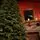 Ukrainian Christmas Tree 230 CM 100 % Silicone Needle - ნაძვის ხე 100% სილიკონი, 7 image