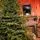 Alpina Christmas Tree 240 CM Edelweiss With Mixed Silicone Needle - ნაძვის ხე შერეული სილიკონის წიწვებით, 7 image