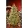 Mistlewood Christmas Tree 180 CM 100% Silicone With Stump - ნაძვის ხე 100 % სილიკონი, 2 image