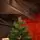 Frostberry Christmas Tree PE 100% Silicone 240 CM With Stand - ნაძვის ხე სადგამით 100% სილიკონი, 3 image