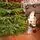 Evergreen Charm Christmas Tree 210 CM 100% Silicone - ნაძვის ხე 100 % სილიკონი, 4 image