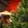Lamelia Christmas Tree PE+PVC 220CM With Mixed Silicone Needle - ნაძვის ხე შერეული სილიკონის წიწვებით, 10 image