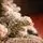 Ukrainіan Frost Snow-Covered Christmas Tree 230 CM 100 % Silicone Needle - ნაძვის ხე 100% სილიკონი, 10 image