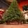 Aurepine Grand Wide Christmas Tree PE 220 CM 100 % Silicone Needle  - ნაძვის ხე 100% სილიკონი, 12 image