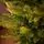 Enchanted Pine Christmas Tree PE+PVC 180 CM With Mixed Silicone Needle - ნაძვის ხე შერეული სილიკონის წიწვებით, 7 image