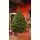 Lamelia Christmas Tree PE+PVC 220CM With Mixed Silicone Needle - ნაძვის ხე შერეული სილიკონის წიწვებით, 2 image