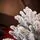Winterella Snow-Covered Christmas Tree PE 180CM 100% Silicone - დათოვლილი ნაძვის ხე 100% სილიკონი, 13 image
