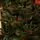 Winter Pearl Christmas Tree 210 CM With Pine Cones And Berries - ნაძვის ხე გირჩით და კენკრით, 10 image