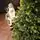Carpathian Christmas Tree Light Green Tips 230CM PVC + PE  ნაძვის ხე შერეული სილიკონის წიწვებით, 7 image