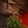 Riviera Alpine Christmas Tree 260 CM With Mixed Silicone Needle PE+PVC- ნაძვის ხე შერეული სილიკონის წიწვებით, 4 image