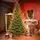 Nordgran Christmas Tree Nordgran With Mixed Silicone Needle 270 CM - ნაძვის ხე შერეული სილიკონის წიწვებით