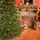 Prime Christmas Tree PE 210 CM 100 % Silicone Needle - ნაძვის ხე 100% სილიკონი, 6 image