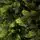Carpathian Christmas Tree Light Green Tips 230CM PVC + PE  ნაძვის ხე შერეული სილიკონის წიწვებით, 11 image