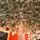 Premium Snow-Covered Christmas Tree PE 200 CM - ნაძვის ხე 100% სილიკონი, 11 image