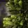 Carpathian Christmas Tree Light Green Tips 230CM PVC + PE  ნაძვის ხე შერეული სილიკონის წიწვებით, 8 image