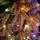 Snowcrest Christmas Tree  210 CM With Colorful Lights - დათოვლილი ნაძვის ხე ფერადი განათებით და შერეული სილიკონის წიწვით, 14 image
