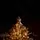 Snowhaven Christmas Tree With Lights 225 CM Snow-Covered - საახალწლო ნაძვის ხე დათოვლილი ტოტებით და განათებით, 6 image